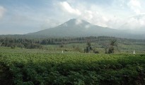 Virunga Park